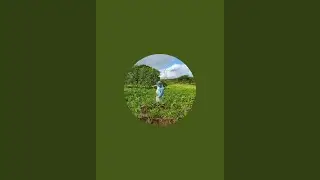 Jailson o gordinho da roça 🌵 está ao vivo!