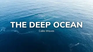 Underwater Serenity | 20 Minutes of Blue, Tranquil Ocean Escape