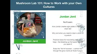 Mushroom Lab 101: How to Work with your Own Cultures