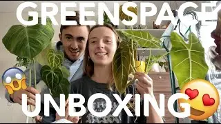 GREENSPACE.ID PLANT UNBOXING VIDEO!!