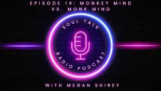 Soul Talk Radio Podcast Episode 14: Monkey Mind vs. Monk Mind
