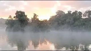 A short stunning live!!
