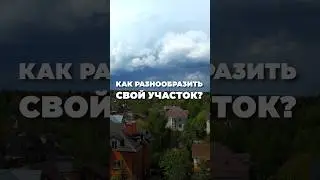 ПРУД для небольшого участка #shorts