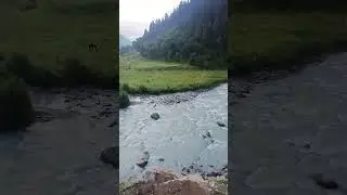 DawnRidge River #n #v #t #s