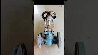 Steam Globe Valve ♨️♨️#globevalve #steam #valve