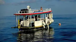 MALDIVES SURF SUMMER 2018 | COCKS | CHICKENS | JAILBREAK | SULTANS   | CHAPTER  # 1