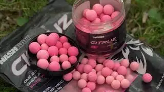 ALAN BLAIR bemutatja a CITRUZT 🍋