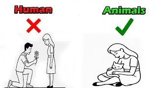 The Psychology of People Who Love Animals More Than Humans