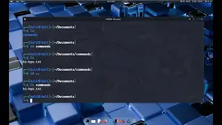 Navigating the Terminal: Navigation and File Creation