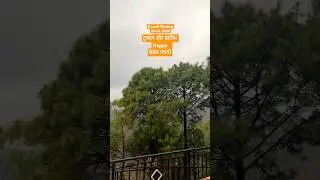 23-01-2026 #Kasauli #weather #rain #youtubeshorts #basantpanchami #shortsfeed #shorts #snowfall