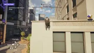 Skate 4 Season 1 Free roaming