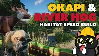 Okapi and Red River Hog Habitat - All species zoo