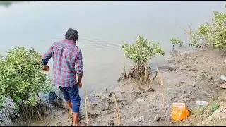 &ldquo;3 Bottles Trick తో Mullet Fishing | Full Experiment&rdquo;| Srinu Sea Vlogs