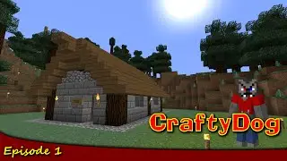 CraftyDog #1: The Beginning...