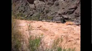 Upside down in Lava Falls @ 25,000 c.f.s.