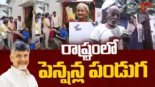 రాష్ట్రంలో పెన్షన్ల పండుగ.. | Pension Distribution In AP | CM Chandrababu | TDP | Tone News