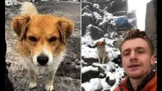 15,000 Feet Par Kho Gaya Hiker, Stray Dog Ne Dikhaya Raasta   Peru Ki Dilchasp Kahani