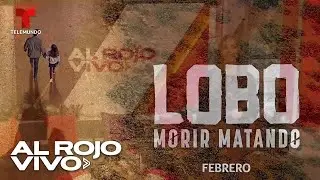 Lobo, Morir Matando: la nueva s&uacute;per serie de Telemundo llega cargada de acci&oacute;n