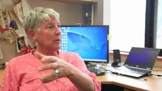 Shark Presence Doesn't Equal Shark Threat: WSV with Jessica Meeuwig