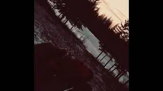 13LVN - Two Lost Souls 