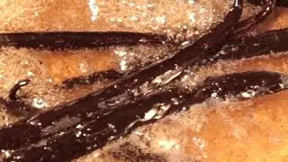 OVEROSE BAKED VANILLA CROISSANT VIDEO