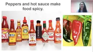 Favorite Foods - Introduction