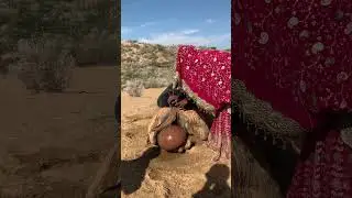 فتيات صحراء ثر يستخرجن الماء من الجِمال بطريقة تقليدية مدهشة #shortfeeds