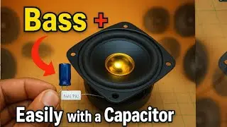 🎵 
