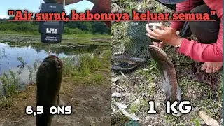 Casting ikan gabus babon saat air mulai surut 🔥🔥
