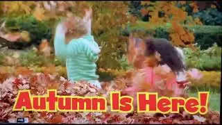 What are signs of Fall? Autumn is Here! Video for kids🍂🍃🍁