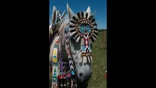 Crow Indian Bead Artist Birdie Real Bird