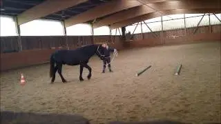 Don Delano bei der Bodenarbeit