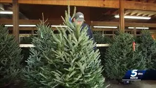 Buying a real Christmas tree this holiday season? Here are some things to know