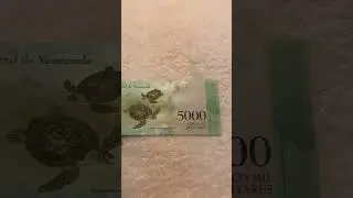 Venezuela 5000 bilivares (2017)  #shorts #shortsfeed #banknotes #banknotesoftheworld