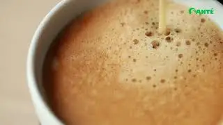 What Is Sant&eacute; Fusion Coffee   Sant&eacute; Product Information