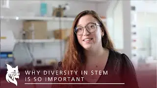 Why is having diverse perspectives in STEM so important?