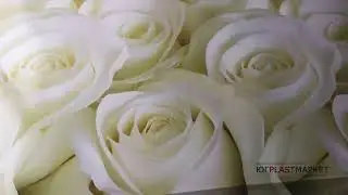 Кухонный фартук ПВХ 