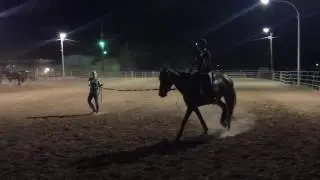 Indy first trot under saddle
