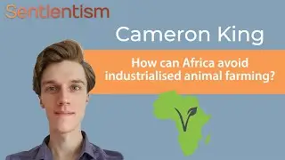 How can Africa avoid industrialised animal farming? - Cameron King of Animal Advocacy Africa - EP:89