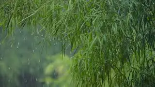 Piano Music with Rain & Thunder
