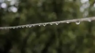 Canon 600D/T3i - Sample video 1080p 24p