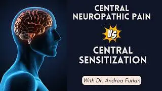 #216 The Brain on Pain: What You Need to Know About Neuropathic and Nociplastic Pain
