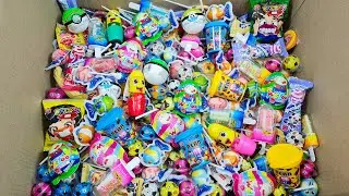 Satisfying Unpacking A Lot's Of Colorful Rainbow Lollipop and Different Flavors Candy - ASMR