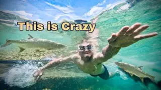 Life UNDER The WATER |    Unbelievable  |