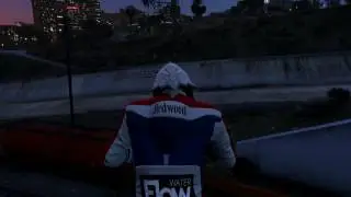 The Early Birds (Grand Theft Auto V)