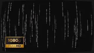 MATRIX CODE | Old Binary Black White Monitor | Full HD | #07