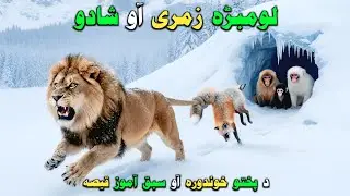 Lombara Zmaray aw Shado | Pashto Kahani | Moral Story in Pashto | Sabaq Amoz Kahani