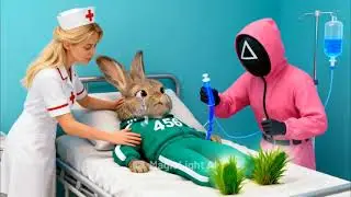Dog & Rabbit: The Prop Master's Downfall! 🚫 Cooperation is the Only Prize!