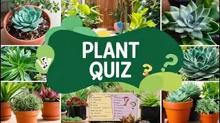Fun Plant Quiz | Ultimate Plant Quiz