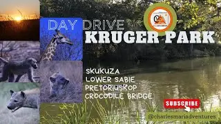 Drive: Kruger National Park, Route - Malalane, Skukuza, Pretoriuskop exit Crocodile Bridge, very dry